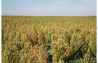 Property photo 57 - LAND AUCTION, 3255+/- Acres offered in 13 Tracts